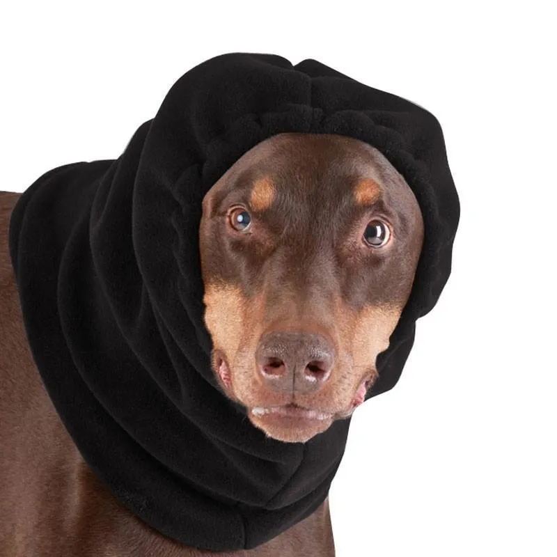 Doberman Pinscher Hood